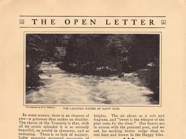 Javier Milei's estate inventory: What properties and possessions did he declare?