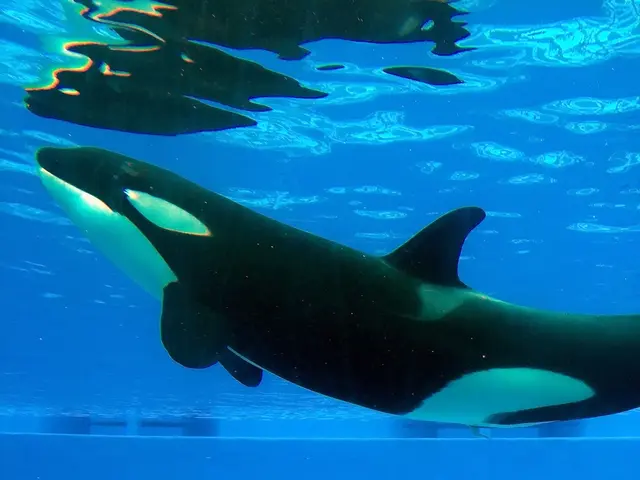 Ethereum Stays at $3,890.76 as Whale Acquires $20 Million ETH: An Analysis, Could Ethereum Reach a...