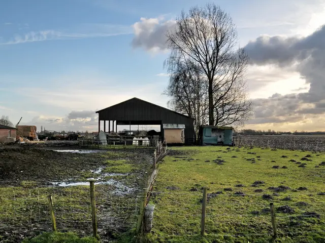 Kentucky's most recent jobs report by KYSTATS reveals Boone and Campbell counties to have the...