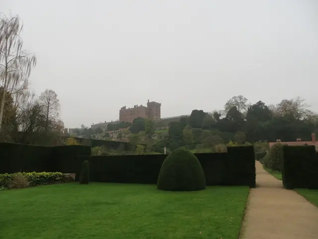 Fresh Directives for Hedge Fund Investment Strategies: Six Key Points to Consider