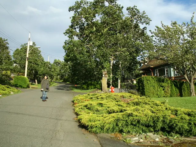 Visionary Innovator: Pedro Vaz Paulo Drives Advancements in Modern Technology and Business