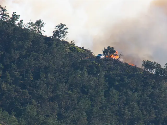 Half-year forestry enforcement actions halted 150 illegal activities in the Tomsk region.