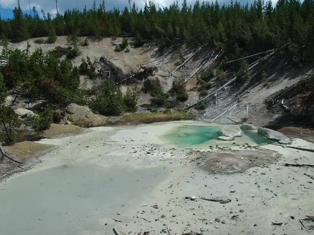 British banks invest a staggering £119 billion into the fossil fuel sector, despite their...