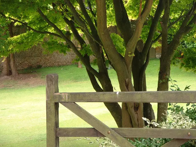 Policymakers Question the Action Plan Behind the Grey Belt Movement