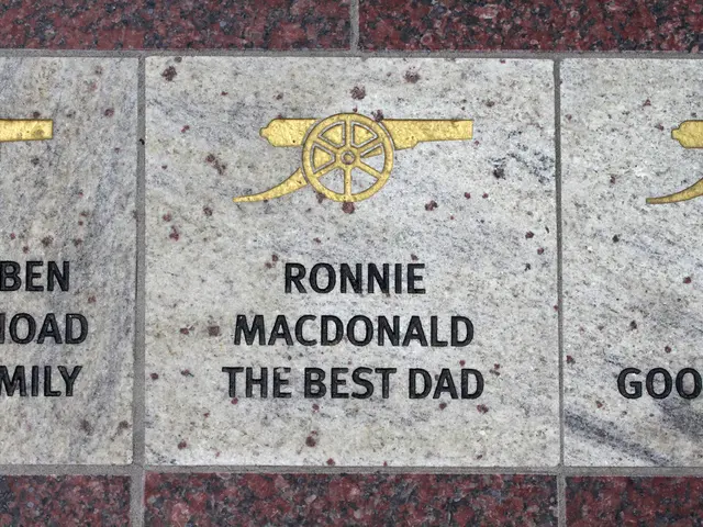 Pension savings withdrawals and the influence of past credit problems.