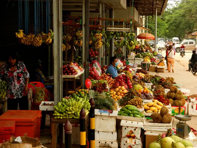 Emerging markets are quickly developing regions with promising economic potential, often...