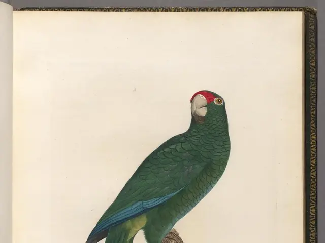 Top Tactics of Warren Buffett for Amassing Prosperity