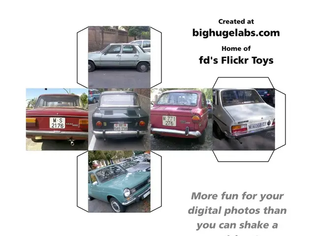 Increased SUV usage leads to deadly consequences: Poor vista from the front causes accidents...