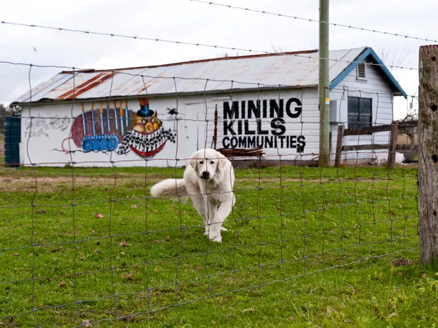 Differences Between Property-Backed Loans and Home Mortgages