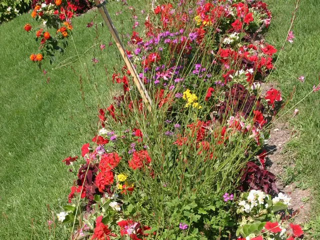 Latest Private Equity Fundraising: Notable Developments in the Private Equity Sector's Charitable...