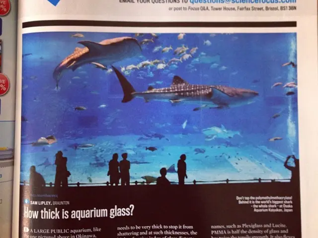 Lifetime fishing permit entails a one-time fee.