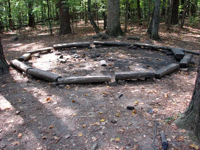 Local municipal authorities in Hünfeld award contract worth over 141,000 euros for wood maintenance...