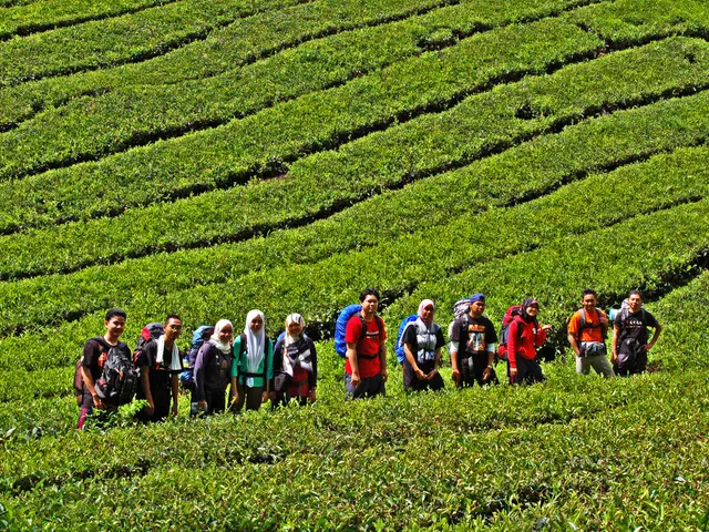 Contending enterprises in the craft sector face an urgent necessity for a replacement