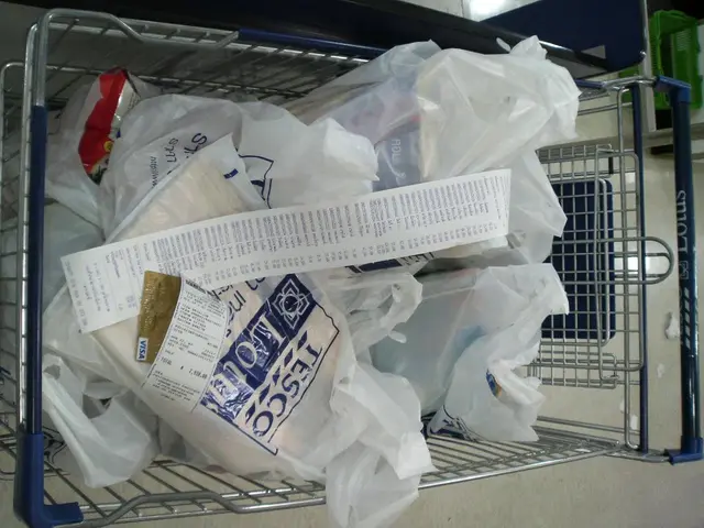 Visa Introduces "Pay by Bank" Service in the United Kingdom Market