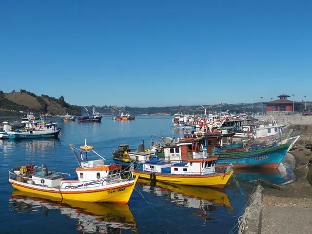 Wind energy giant Iberdrola pushes forward with the Baltic wind farm construction, committing over...