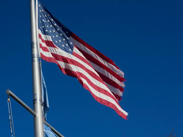 German businesses express concern over custom arrangements in current agreement