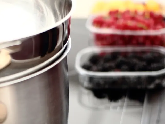 Visas for professional and commercial activities within the United States