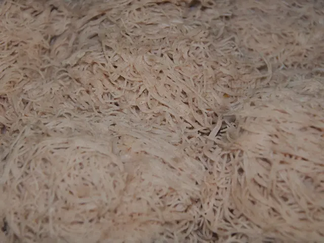 CEO of Noodles & Company, Drew Madsen, departing his position