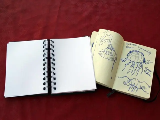 U.S. to Rectify Mistake in Trump's Tariff Decree and Provide Rebates to Japan