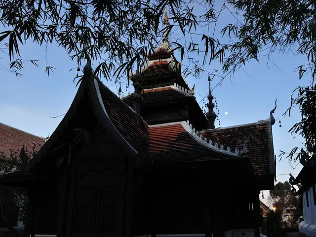 Anticipating a potential surge or decline in these stocks, here's the recommended course of action...