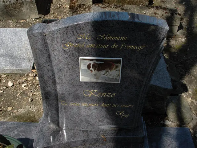 Troublesome Issues Confronting Kazakhstan's Pension System: Citizen Perspective