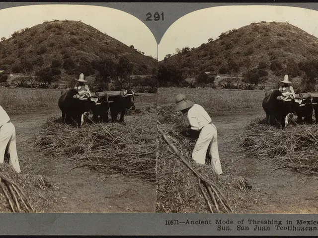 High-Percentage Energy Investments: Sensible High-Yield Energy Stocks to Acquire with a $100 Budget...