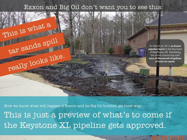 Recycling approach centered on waste from slaughterhouses, harnessing renewable energy