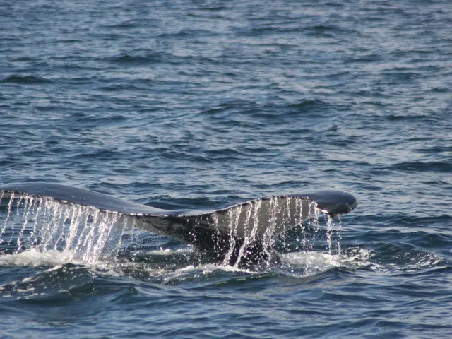 Large-scale Ethereum holder transfers $21 million to Binance, realizing approximately $45 million...