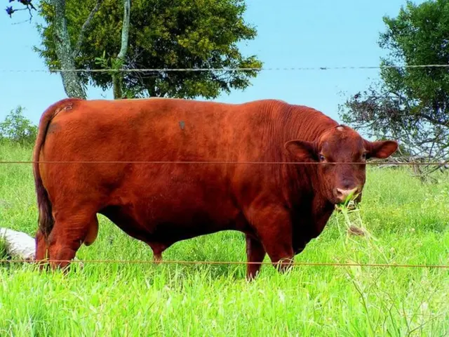 Investing $500 in LYNO Presale could potentially yield 10,000 tokens. Estimating the worth of these...