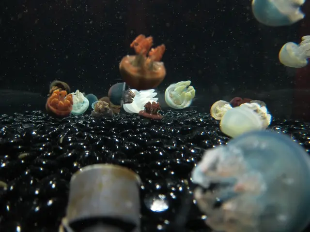 Nuclear power plants in France temporarily suspended operations during the heatwave due to the...