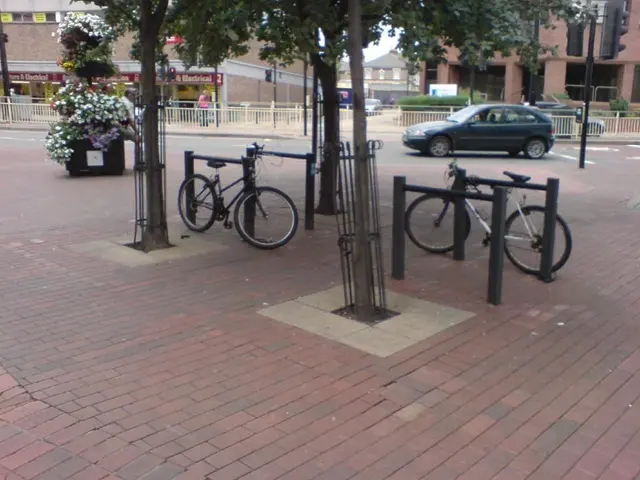 Investigation Reveals Decreasing Number of Investors Perceive a Low-Carbon Transition as Imminent