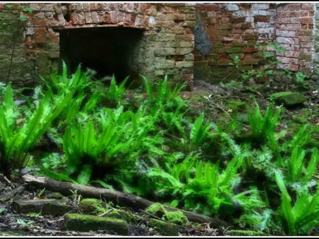 Nuclear Energy Discussion Aired on Television for the Fourth Time