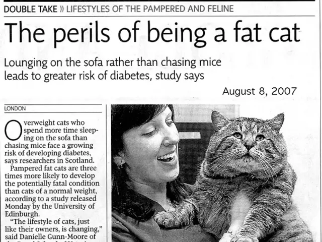 Quarterly report of Catena Media reveals consistent income during business refinement period