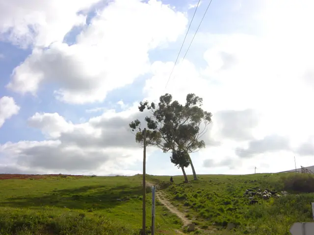 Group of investors advocates for increased utilization of natural methods in livestock farming