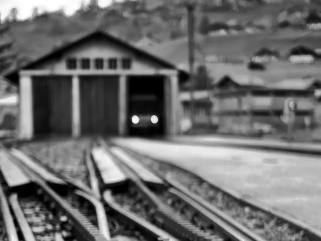 Economic expansion over the past 7 months of the current year amounts to a 6.3% increase in GDP