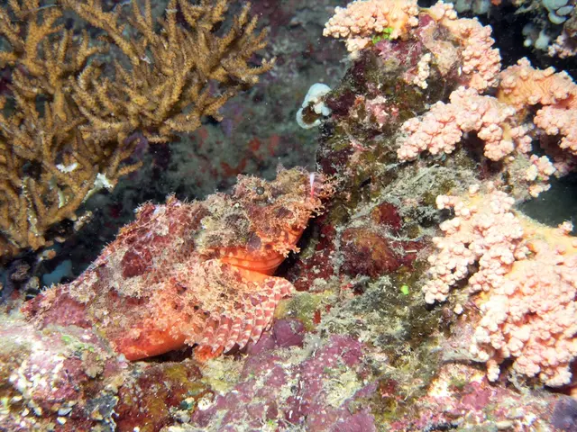 Enforcement in the Marmara Sea heightens, leading to the closure of 55 facilities and the...