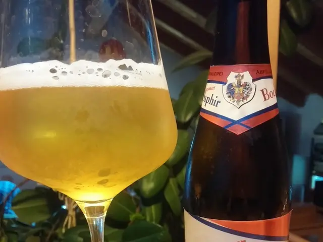 Exploring Heritage and Influence: Broccardo's Journey through Barolo's Vineyards