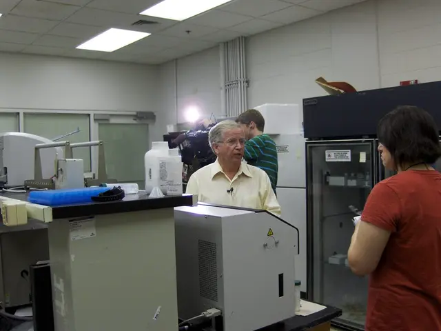 "Affordable Professional Video Editing Solution - Pro Edits provided at a reduced expense"