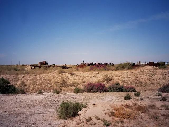 Quickening tempo of executive orders arrayed with hazy, ambiguous guidance, leaves contractors in a...