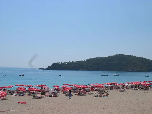 Winner of Apprentice unveils ocean-themed cafe named "Ridiculously Rich By The Sea," slated to open...