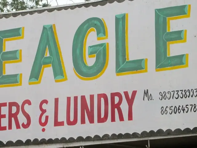 Stock Performance of American Eagle Outfitters Following a Successful Marketing Strategy?