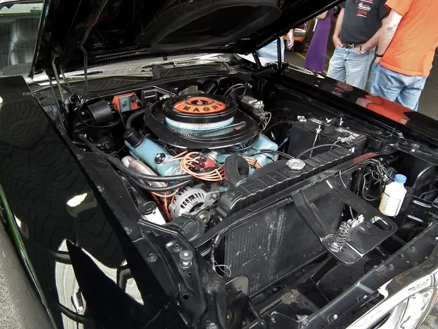 Project Manager (regardless of gender) for infrastructure developments centering on transportation...