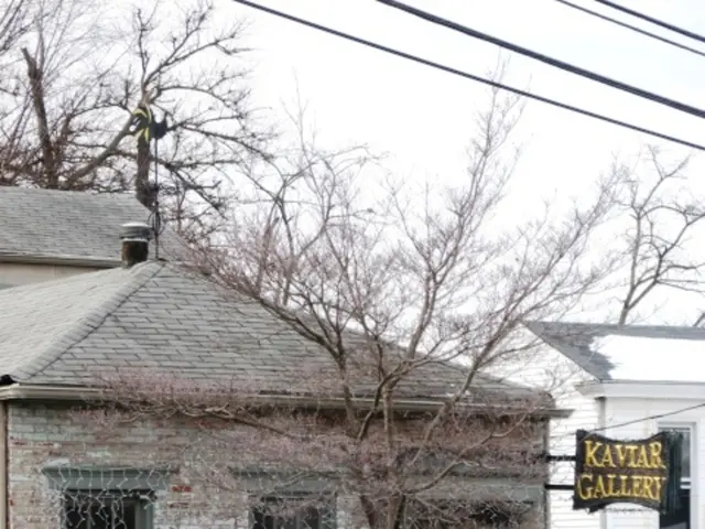 Energy-saving residences debut in Cambridgeshire