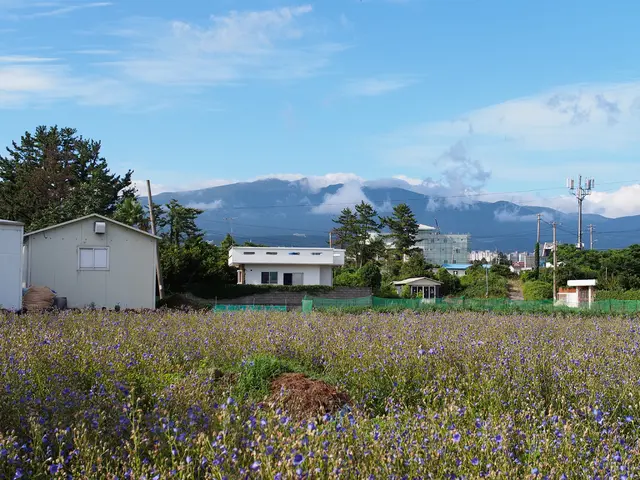 Expanding renewable energy initiatives at a Californian educational institution, fueled by...