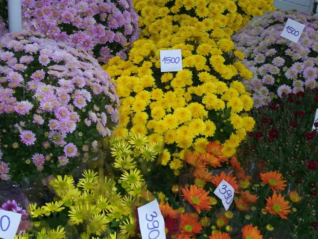 Strict pricing regulations to be enforced by the end of the month