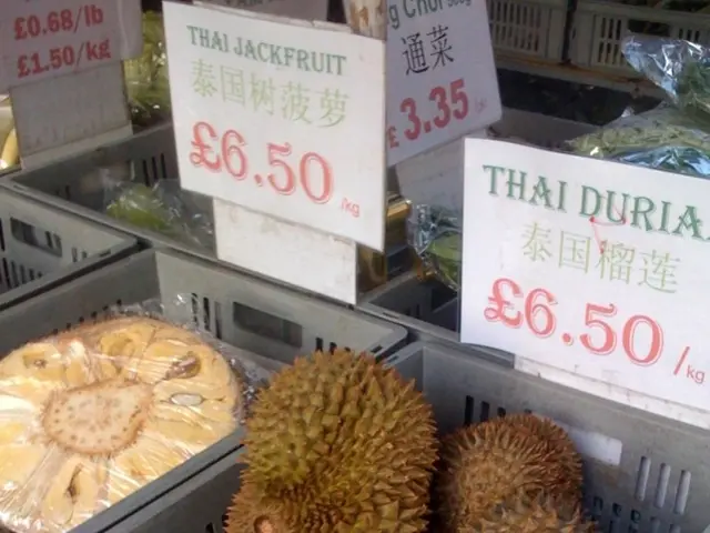 " Trump's proposal for a $100,000 fee on H-1B visas sparks opposition due to fears of harming small...