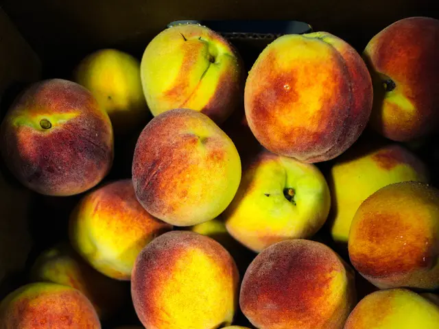 Apple announces the outcomes of its second financial quarter