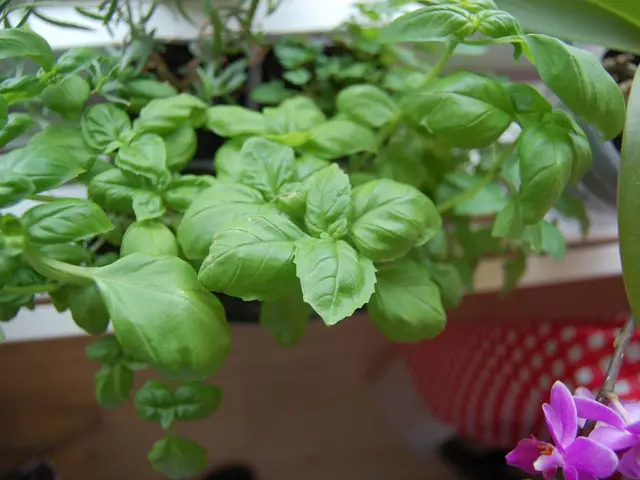 Provincial Liberals hold a positive opinion of Karina Gould and express enthusiasm about her...