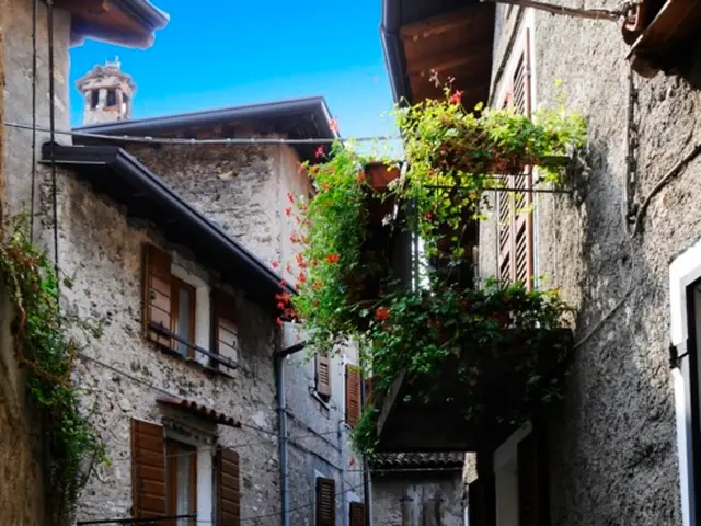 On the right side there is a building with windows. On the sides of the wall there are plants with...