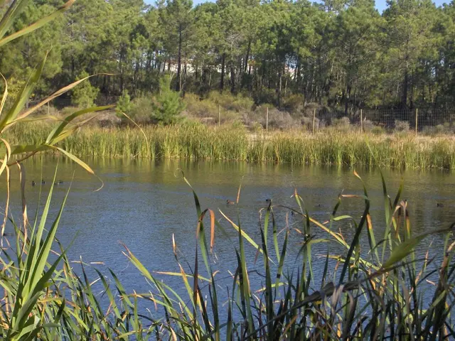 In this picture there is water in the center of the image and there are grassland and trees at the...
